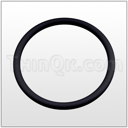 O-Ring (TM12 70 076) FKM/VITON