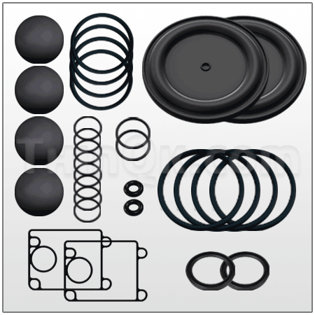 Repair kit (T637401-GG)