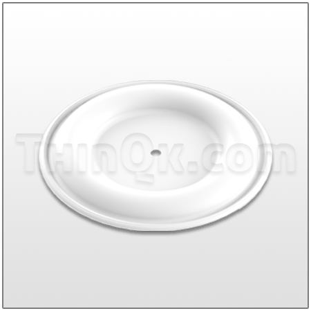 Diaphragm (T15K313) PTFE