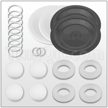 Repair Kit (T25A855)
