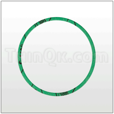 Gasket (T6-420-181) Klingerseal
