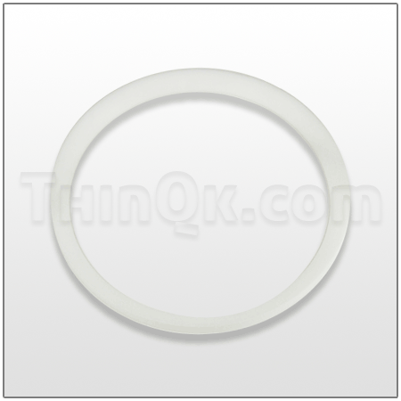 Seal (T720.041.600) PTFE