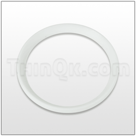 Seal (T720.043.600) PTFE