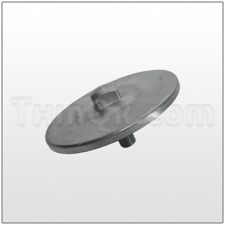 Piston (T612.033.157)