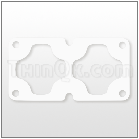 Gasket (T360.017.600) PTFE