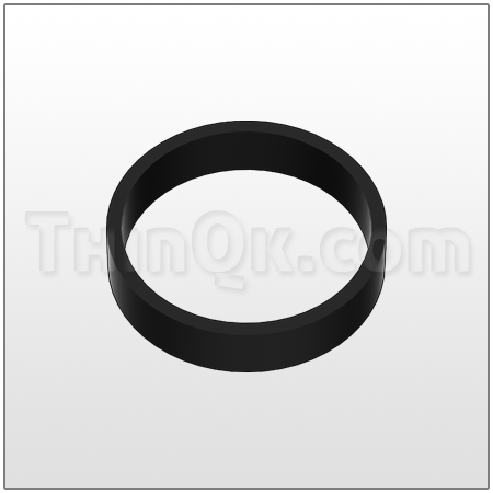 Gasket (T675.013.360) BUNA