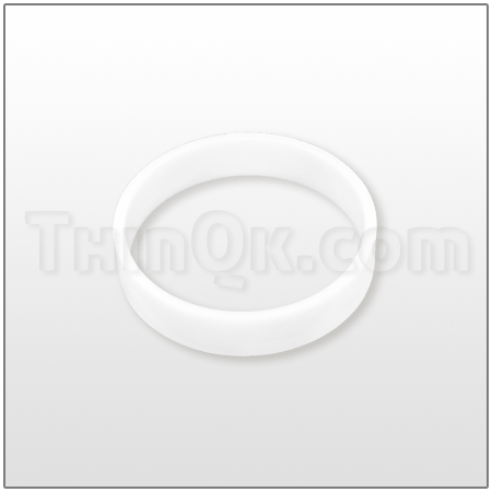 Seal (T675.021.600) PTFE