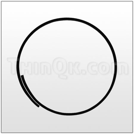 Ring Sealing (T677.001.542)