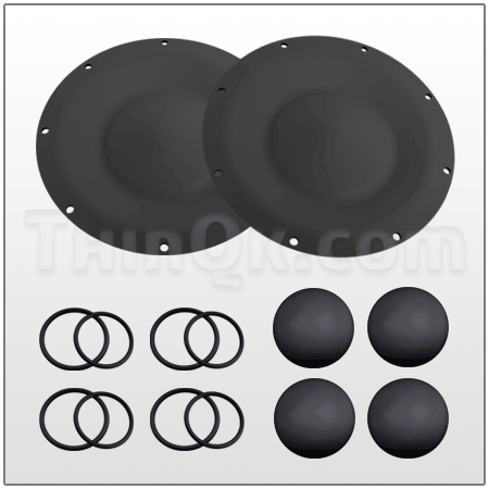 KIT LIQ (TTX120 ANN)