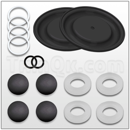 Repair kit (T819.3800)