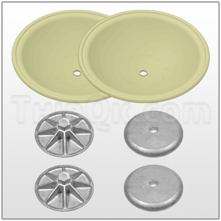 Repair kit (TV225FG CV ALKIT)