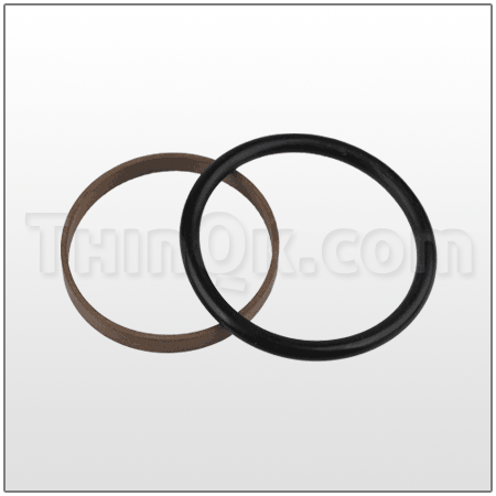 Seal/O-Ring (T250106---)