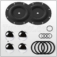 Repair kit (T637119-A2-C)