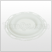 Diaphragm (T16N424) PTFE
