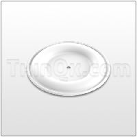 Diaphragm (T188605) PTFE