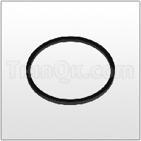 Gasket (T819.6257) BUNA