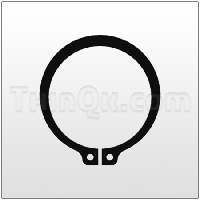 Snap ring (TE503D)