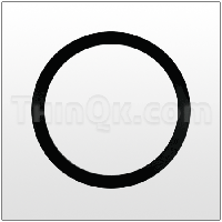 Gasket (T360.086.360) BUNA