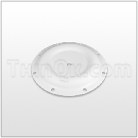 Diaphragm (T286.099.600) PTFE