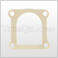 Gasket (T360.012.366)