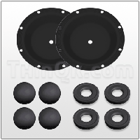 Repair kit (TWSK75NNM)