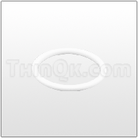 Seal (T720.064.600) PTFE