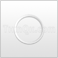 Seal (T720.060.600) PTFE