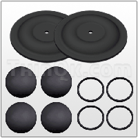 Repair kit (TE5P VT KIT)