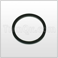 Gasket (T771241) BUNA