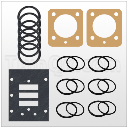 Air valve kit (T476.V016.000)