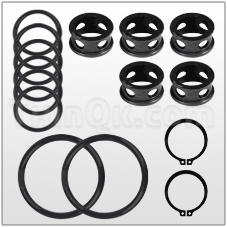 Kits > Air valve kit (TE5 PV KIT) AODD Pump Parts Thinqk
